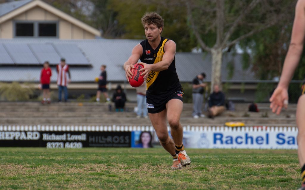 Snook A Prize Catch For The Bays - Sanfl