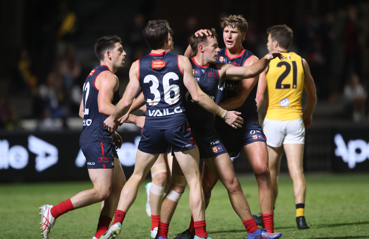 Round 2 Hostplus SANFL Snapshot Friday Night SANFL