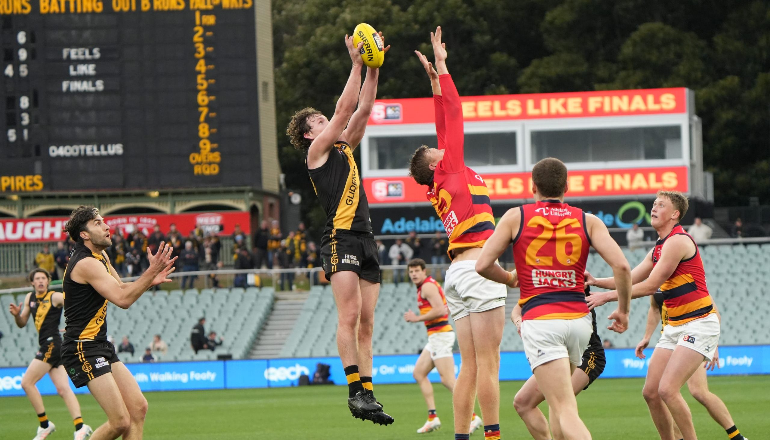 Reeva's Match Wrap Qualifying Final Glenelg Football Club
