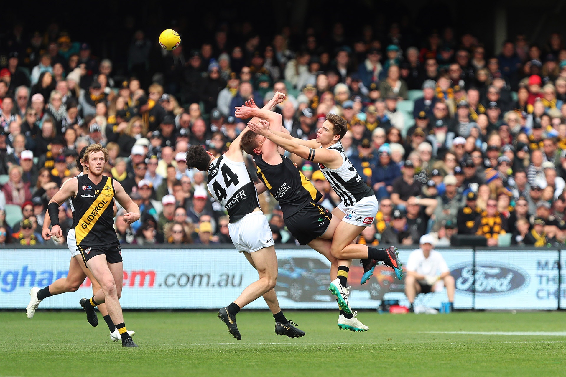 Grand Final Photo Gallery SANFL