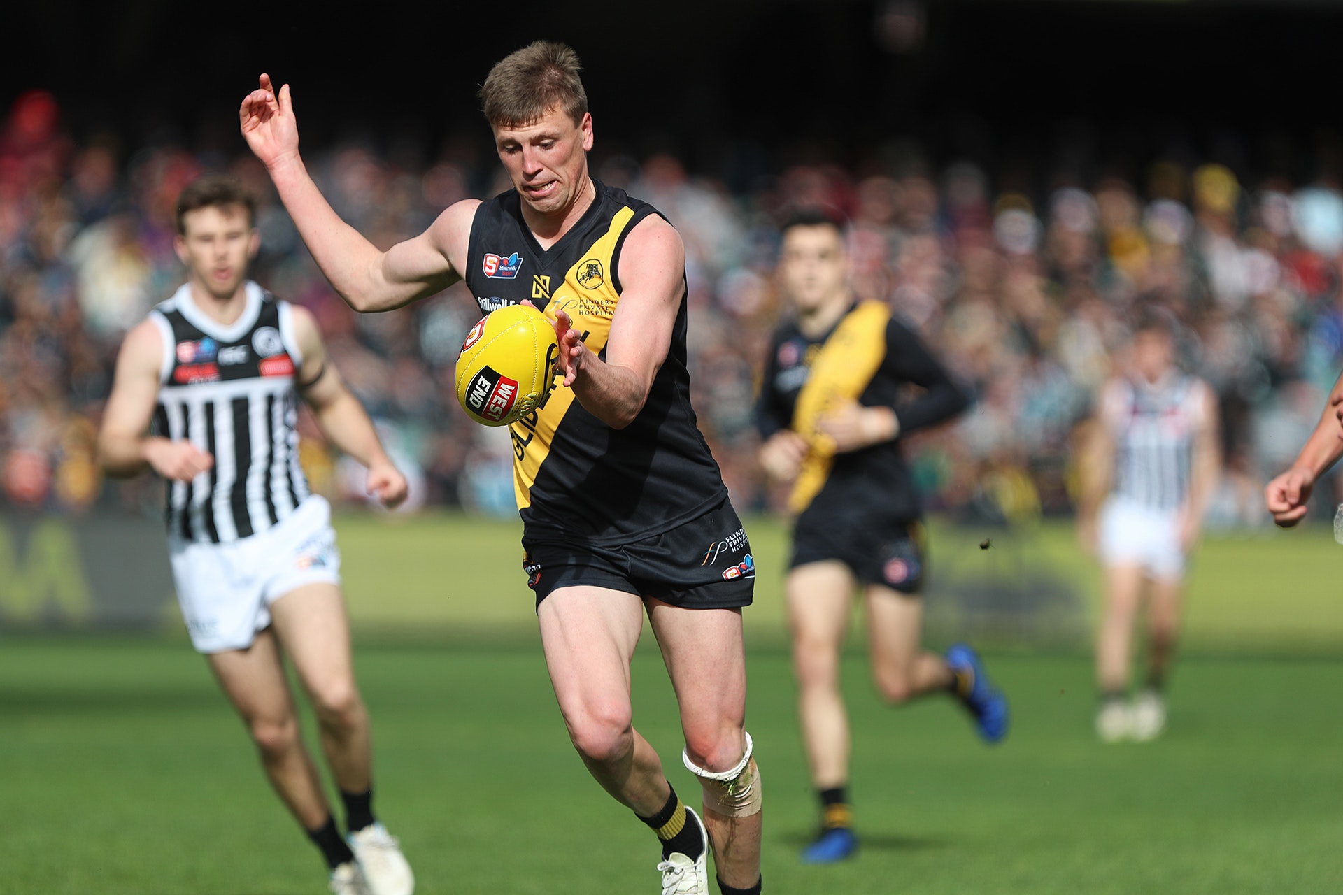 Grand Final Photo Gallery SANFL