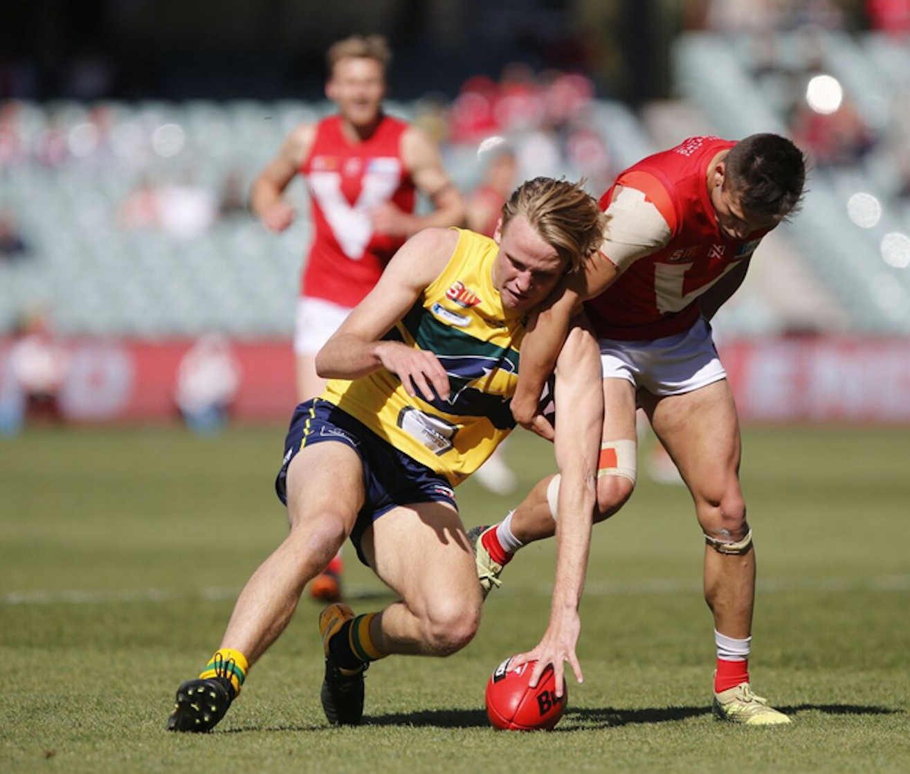 2018 Afl Draft Hub Sanfl