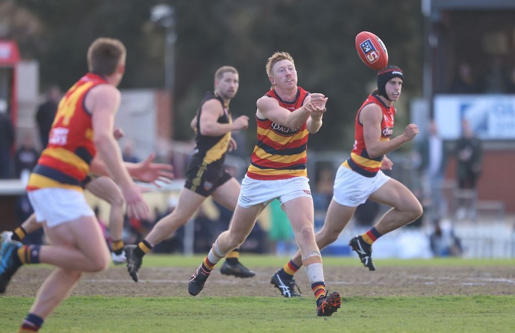 Round 13 Hostplus SANFL Snapshot - Saturday - SANFL