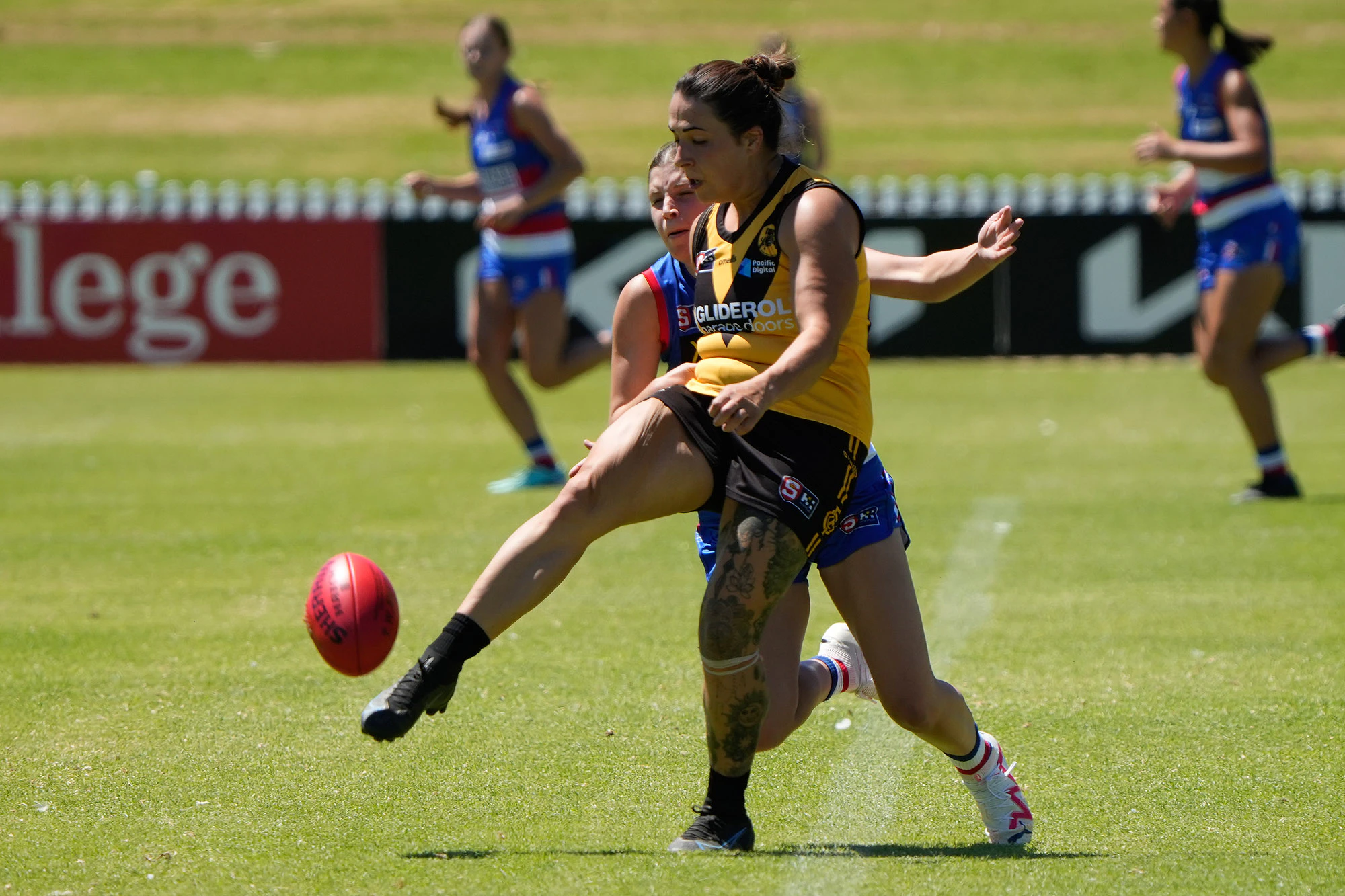 Jess Reddy Football 2024 Glenelg SANFLW Pocket Profile - Glenelg Football Club