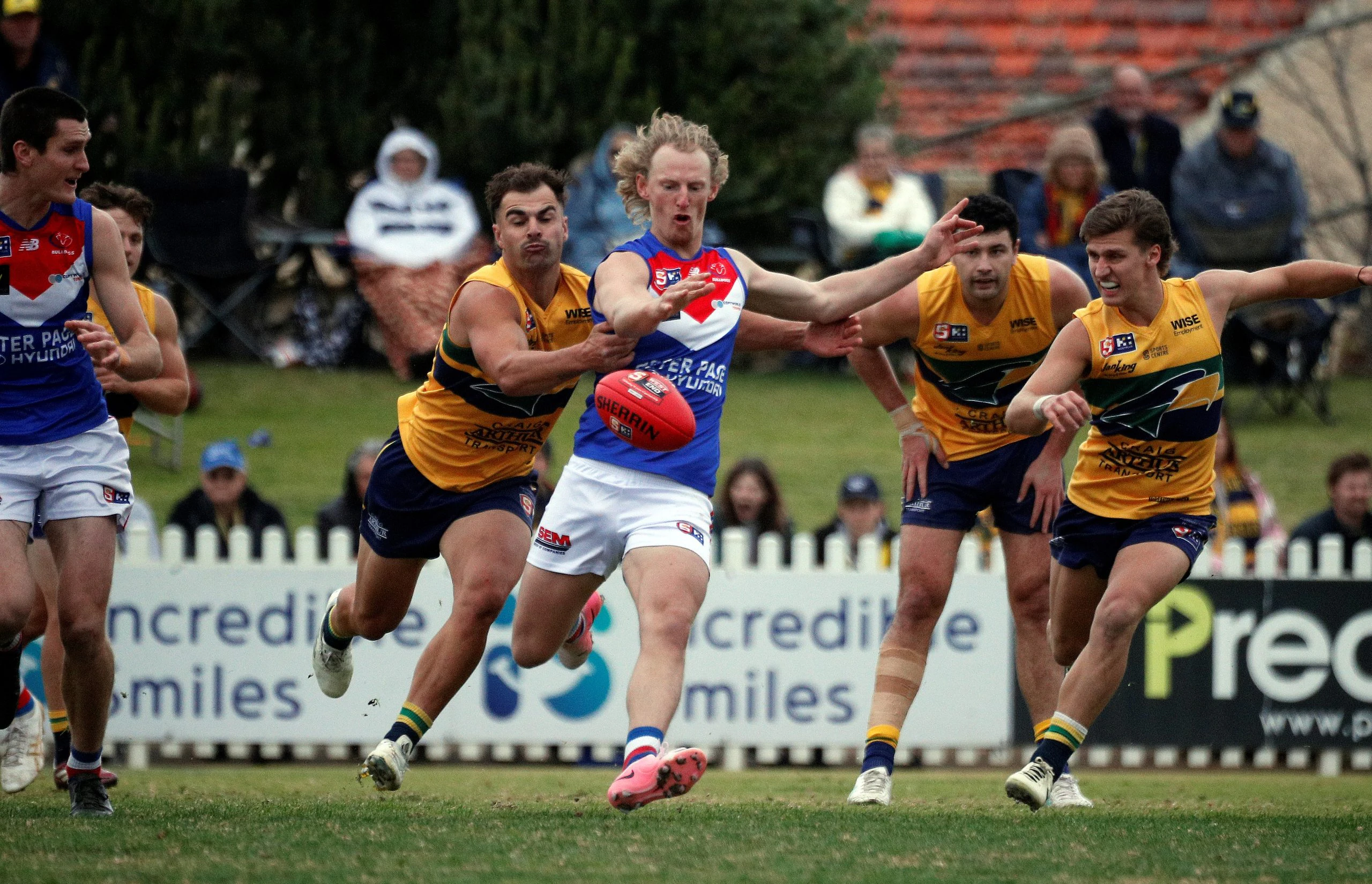 Kit Sanfl League - SANFL