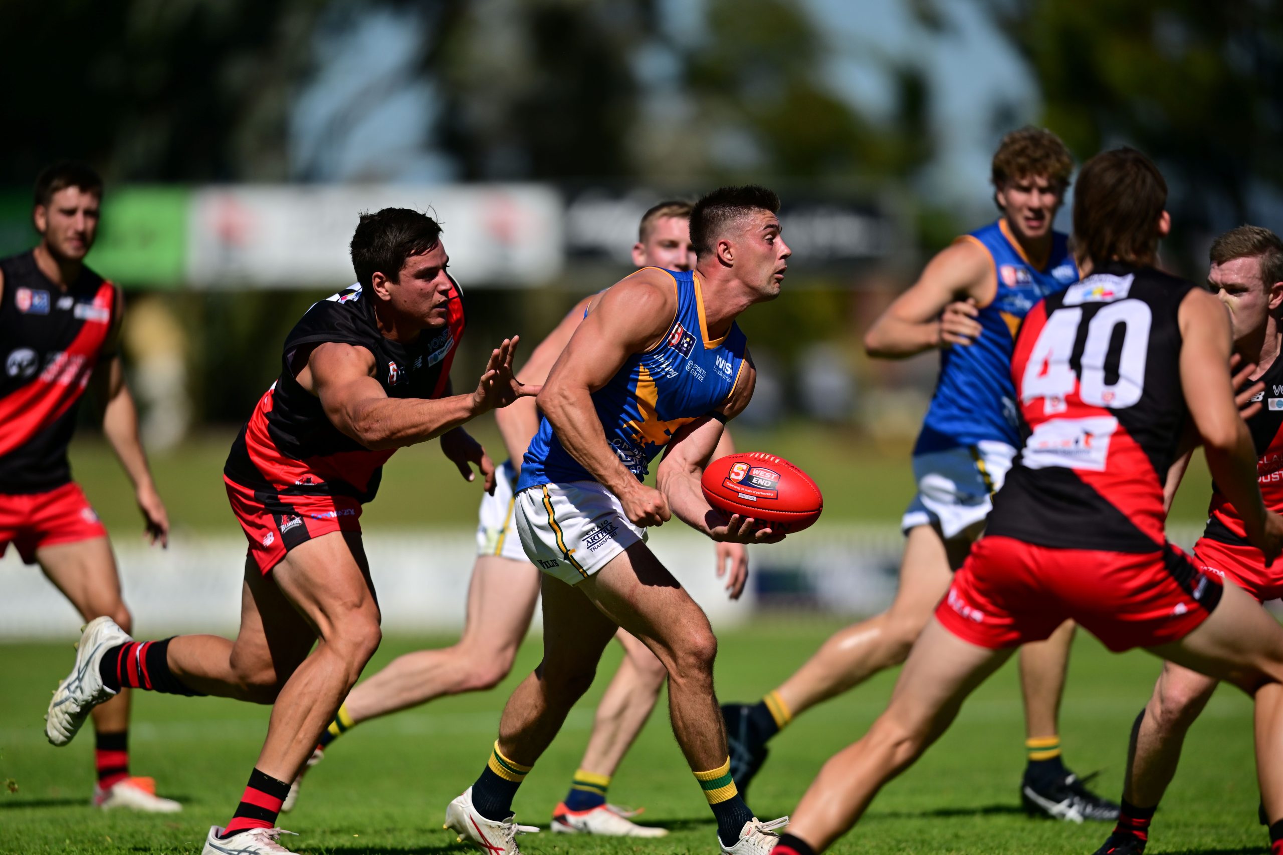 Knight enjoying the life of Riley with Eagles - SANFL