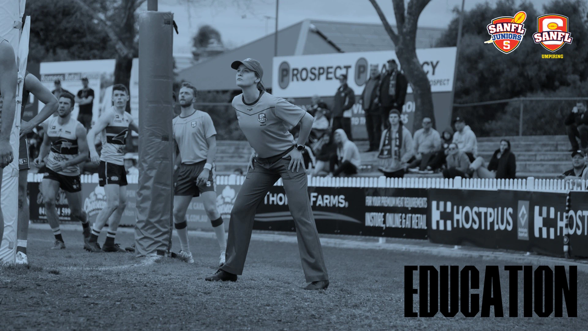 Junior Umpire Hub SANFL