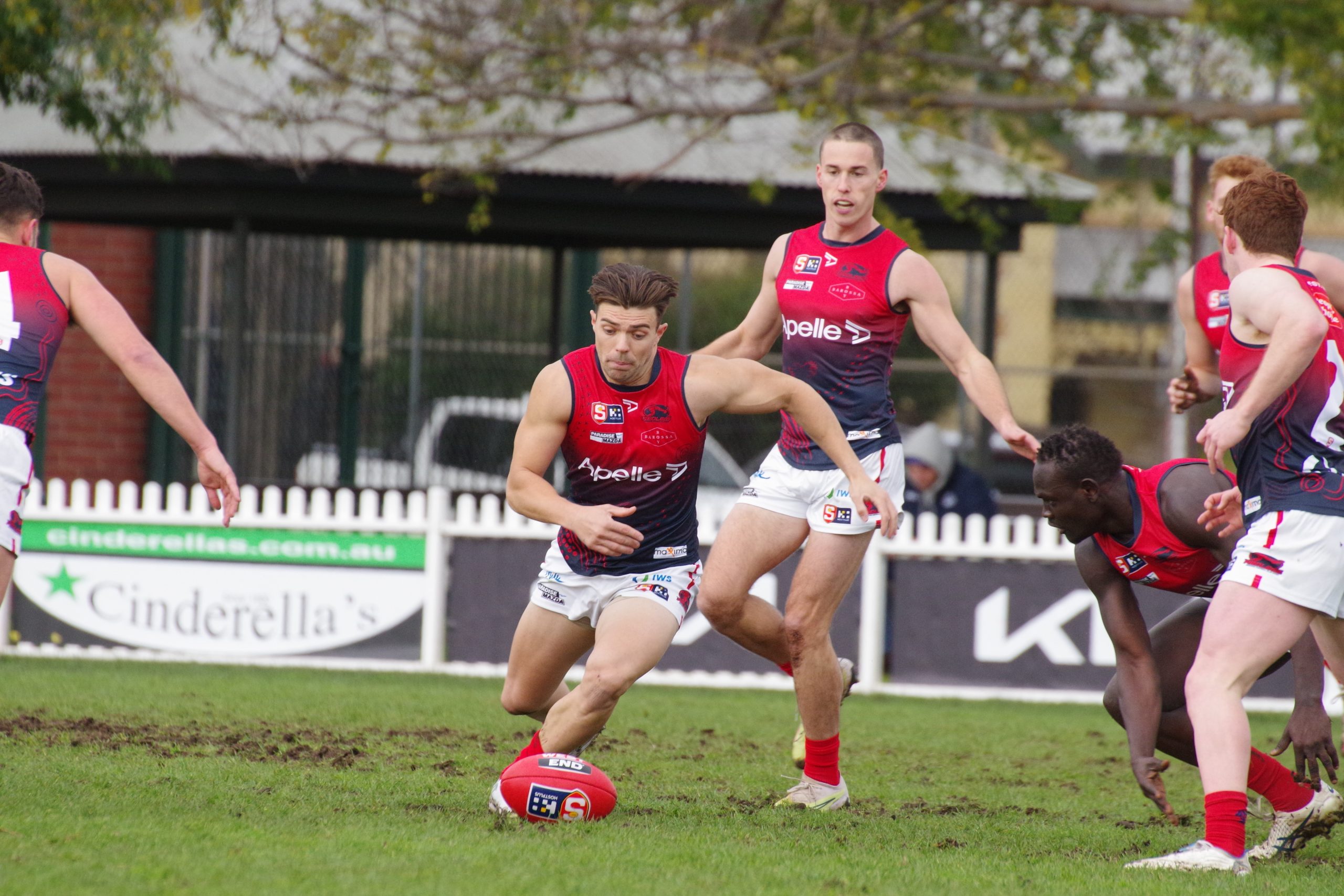 2023 The Advertiser Team Of The Year - Norwood Football Club