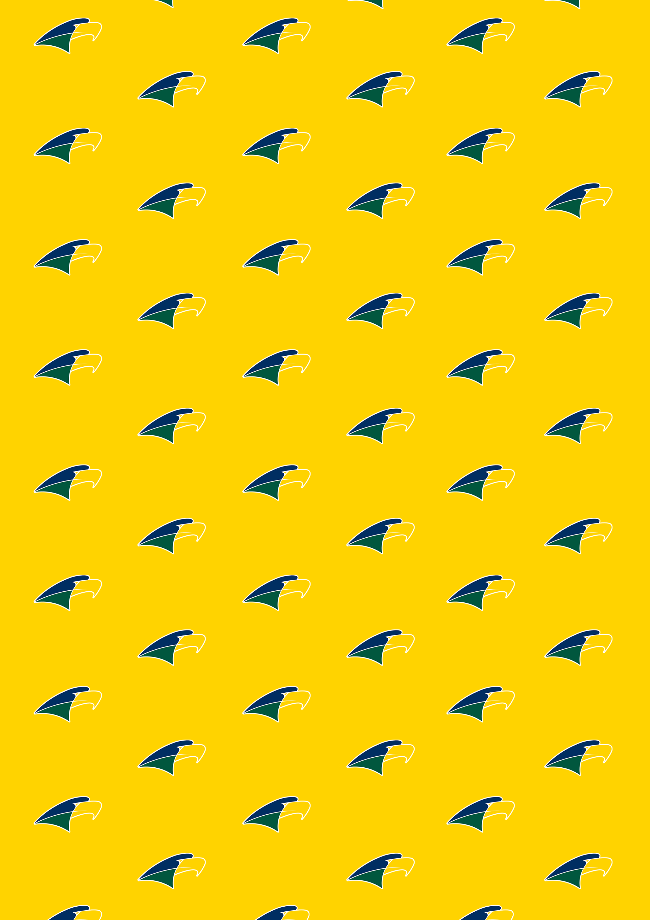 U16 U18 Team Selection Woodville West Torrens Football Club