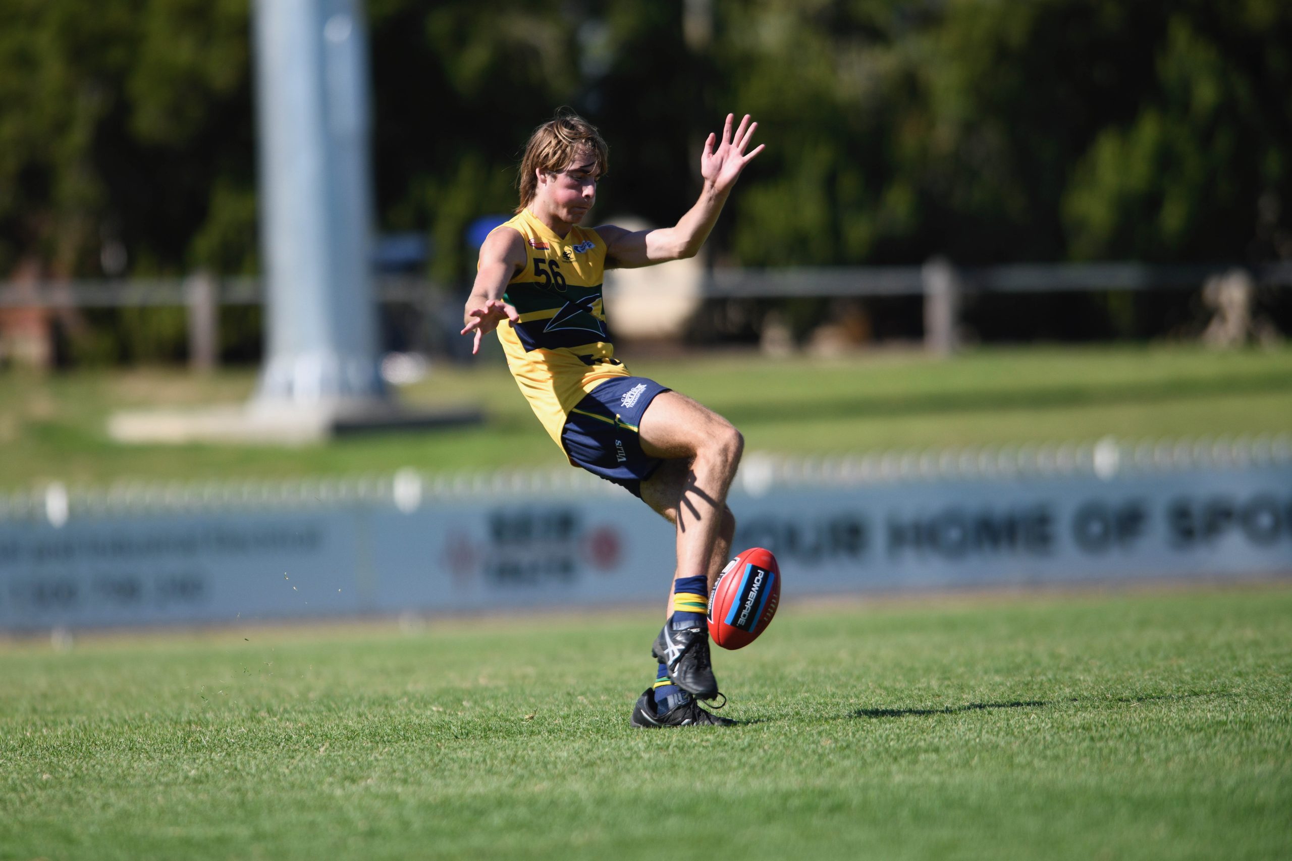 Eagles Half Dozen Selected In State U16s - Woodville-West Torrens ...