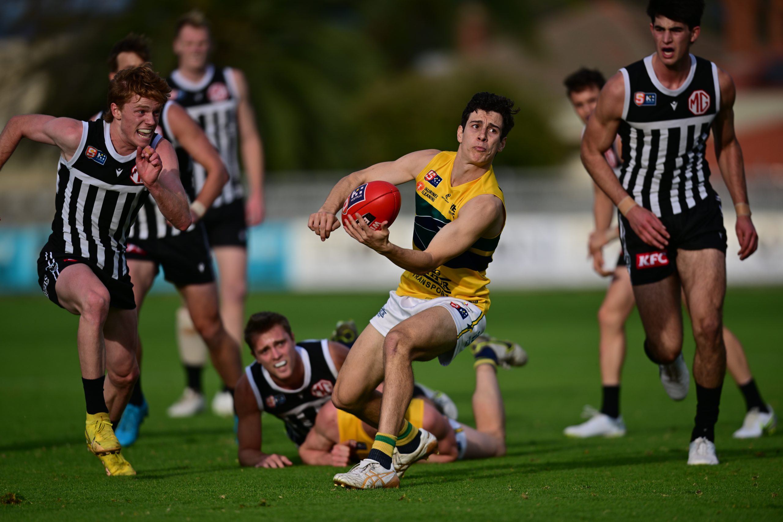 Jones Radiology Injury Report - Woodville-West Torrens Football Club